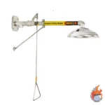 خرید دوش دیواری دستی SS1-SH-WM-Wall Mounted ساخت ایران